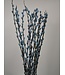 Light blue Salix catkins | Length ± 70 centimetres | Per 10 branches