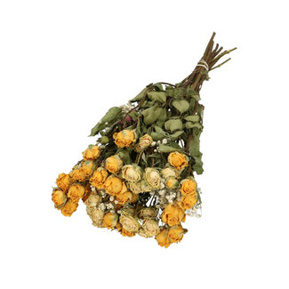 MyFlowers Boeketje met 8 gele Trosrozen en 2 takken wit naturel Gipskruid | Lengte ± 50 centimeter