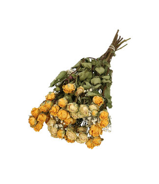 MyFlowers Bouquet avec 8 roses en grappes jaunes et 2 branches de gypsophile blanc naturel | Longueur ± 50 centimètres