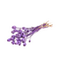 Purple Papaver Somniferum dried flowers | Length ± 65 centimetres | Weight ± 200 grams