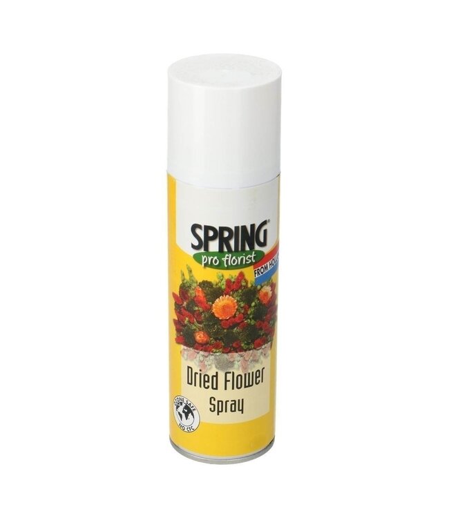 Spray Professionnel pour Fleurs Séchées | Aérosol de 300 CC