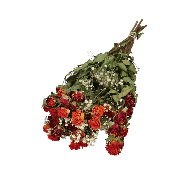 Bouquet avec 8 roses en grappes orange et 2 branches de gypsophile blanc naturel | Longueur ± 50 centimètres