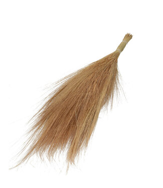 Dutch Dried Naturel lichtbruine Barba de Bode droogbloemen | Lengte ± 55 centimeter | Gewicht ± 50 gram