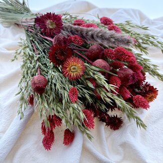 MyFlowers Boeket droogbloemen Zoeij | Lengte ± 60 centimeter | Met roodroze en naturelle droogbloemen