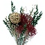 Boeket droogbloemen "Elora" | Lengte ± 40 centimeter | Gemengde kleuren droogbloemen en goudkleurige bijsteker