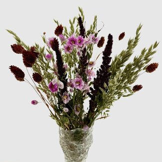 MyFlowers Boeket droogbloemen Ruby | Lengte ± 50 centimeter | Gemengde kleuren droogbloemen