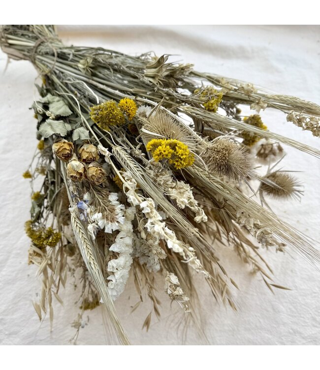 Bouquet de fleurs séchées Isabelle | Longueur ± 65 centimètres | Avec des fleurs séchées naturelles
