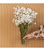 Wit naturelle Rhodante droogbloemen | Lengte ± 45 centimeter | ± 35 bloemen per bos