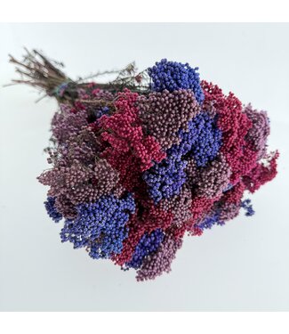 MyFlowers Rosenreisblumenstrauß | Lila Rosa Mix | Länge ± 70 Zentimeter