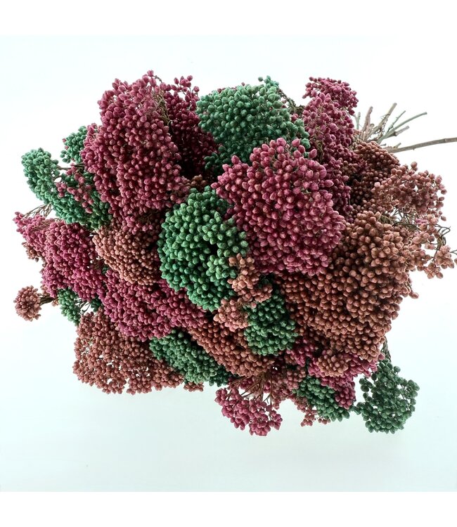 Bouquet de fleurs séchées Rice Flowers | Longueur ± 70 centimètres | Avec des fleurs vert menthe, roses et saumonées