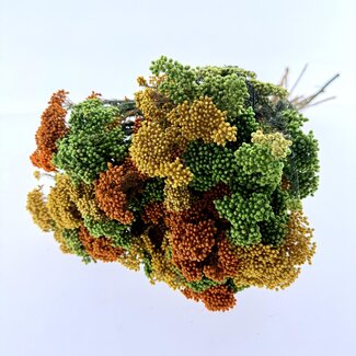 MyFlowers Boeket droogbloemen Amarillo | Oranje, gele en groene Rijstbloemen | Lengte ± 55 centimeter