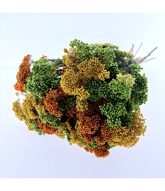 MyFlowers Bouquet of dried flowers Amarillo | Orange, yellow and green Rice flowers | Length ± 55 centimetres