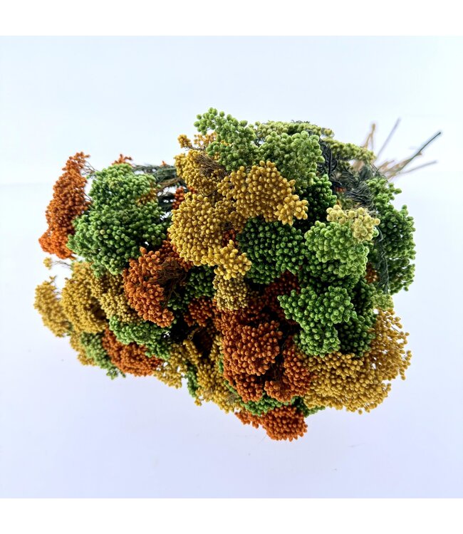 Bouquet of dried flowers Amarillo | Orange, yellow and green rice flowers | Length ± 55 centimetres