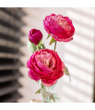 Dutch Dried Cyclamen Pink Ranunculus | Ranunculus or Buttercups artificial flowers | Length ± 50 centimetres | With 3 flowers per stem