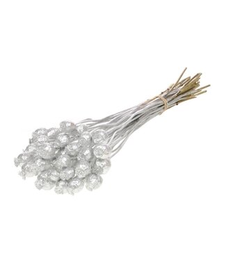 Dutch Dried Silver-coloured Papaver Somniferum dried flowers | Length ± 65 centimetres | Weight ± 200 grams