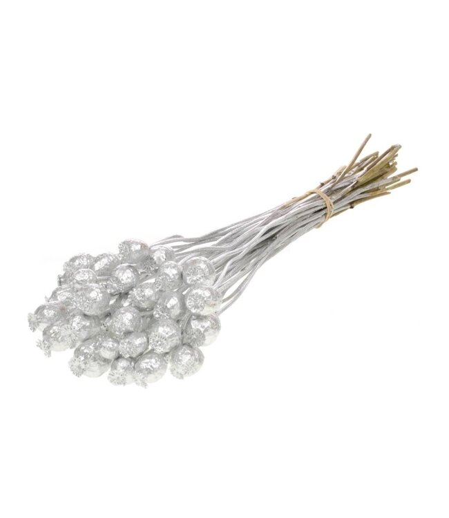 Fleurs séchées de Papaver Somniferum argentées | Longueur ± 65 centimètres | Poids ± 200 grammes