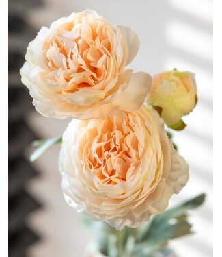 Dutch Dried Champagnekleurige Ranonkels | Ranunculus of Boterbloemen kunstbloemen | Lengte ± 50 centimeter | Met 3 bloemen per tak