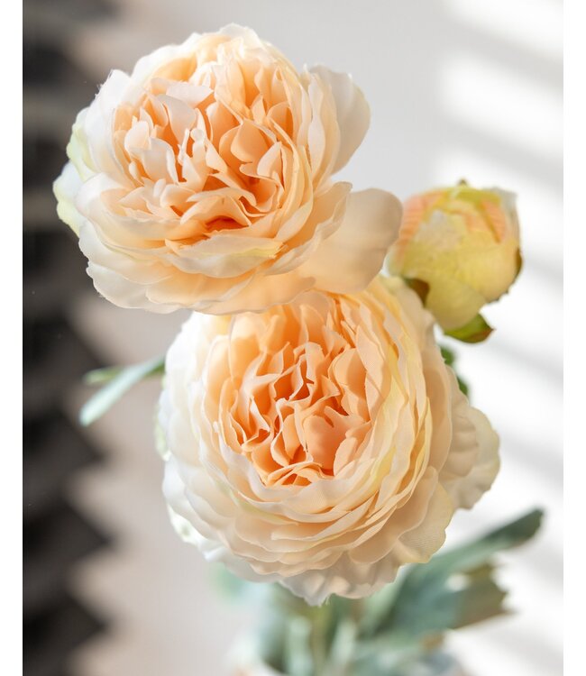 Renoncules couleur champagne | Renoncules ou Boutons d'or fleurs artificielles | Longueur ± 50 centimètres | Avec 3 fleurs par tige