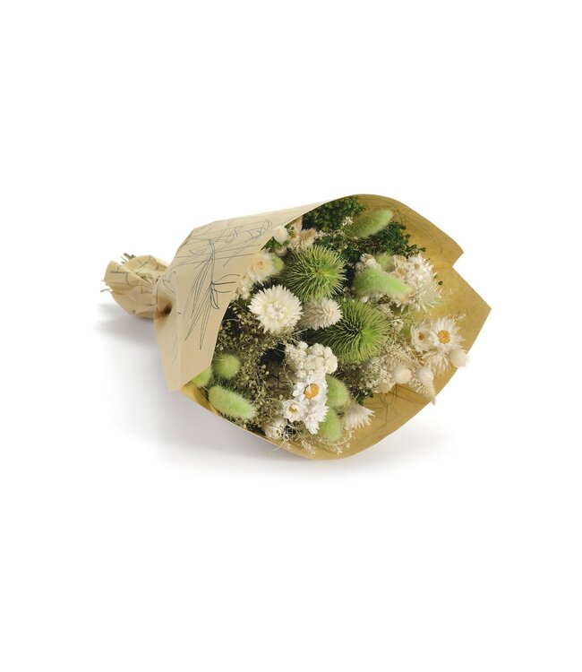 Bouquet de fleurs séchées Wow Prato | Longueur ± 35 centimètres | Avec des fleurs séchées blanches et vert clair