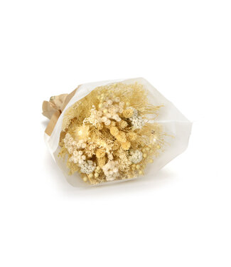 MyFlowers Bouquet of dried flowers Fantasy Ecru | Length ± 35 centimetres | With various white-bleached dried flowers
