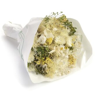 MyFlowers Bouquet de fleurs séchées Farfalla Bianco Giallo | Longueur ± 40 centimètres | Avec des fleurs séchées blanches et jaune clair