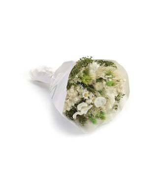 MyFlowers Bouquet of dried flowers Farfalla Bianco Verde | Length ± 40 centimetres | With white, white bleached and green dried flowers