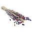 Boeket droogbloemen Phalaris "Pastel Mix" | Lengte ± 65 centimeter | Gewicht ± 175 gram