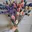 Bouquet of dried flowers Phalaris Pastel Mix | Length ± 65 centimetres | Weight ± 175 grams