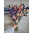 Boeket droogbloemen Phalaris "Pastel Mix" | Lengte ± 65 centimeter | Gewicht ± 175 gram