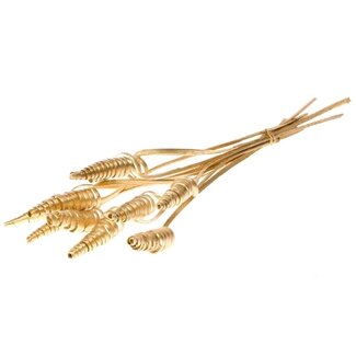 Dutch Dried Gold-coloured Cane Cone palm spirals | Length ± 65 centimetres | Per 10 stems