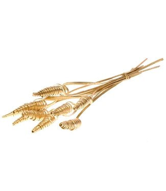 Dutch Dried Gold-coloured Cane Cone palm spirals | Length ± 65 centimetres | Per 10 stems