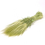 Natural green Hordeum dried flowers | Length ± 70 centimetres | Weight ± 175 grams