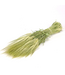 Natürliche grüne Hordeum Trockenblumen | Länge ± 70 Zentimeter | Gewicht ± 175 Gramm