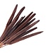 Choco-brown Babala dried flowers | Length ± 65 centimetres | Per 15 stems