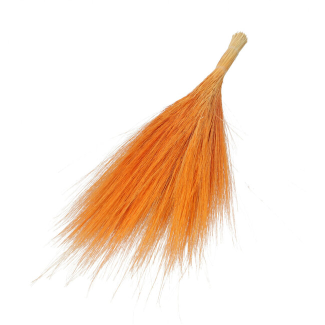 Orange Barba de Bode dried flowers | Length ± 55 centimetres | Weight ± 50 grams