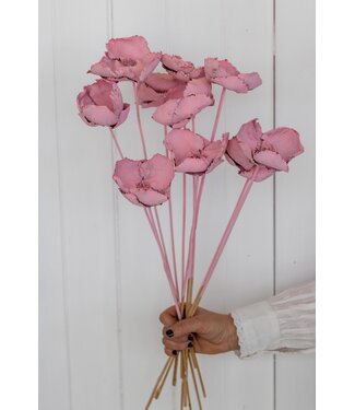 Dutch Dried Coupe de palmier rose fleurs séchées | Longueur ± 55 centimètres | Par 10 branches