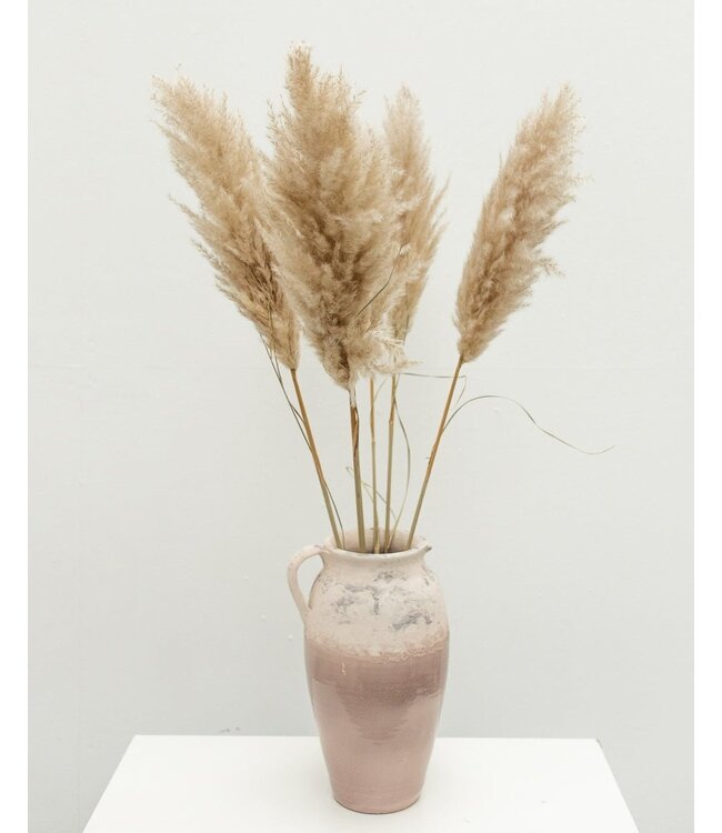 Naturally dried Fluffy Pampas plumes | Length ± 100 centimetres | Per 5 stems