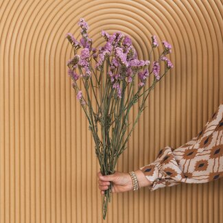 Dutch Dried Light Pink Statice Sinuata Dried Flowers | Length ± 70 centimetres | Weight ± 75 grams