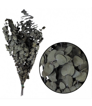 Casa Alegria Naturel groene Eucalyptus Espiral | Gepreserveerd | Lengte ± 50 centimeter | Gewicht ± 150 gram