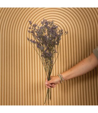 Dutch Dried Blue Limonium Diamond dried flowers | Length ± 70 centimetres | Weight ± 100 grams