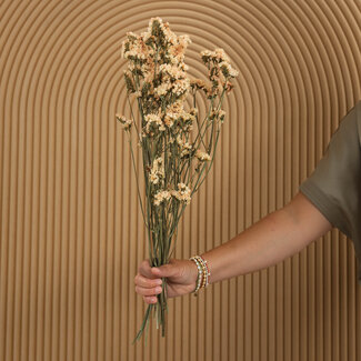Dutch Dried Zalmkleurige Statice Sinuata droogbloemen | Lengte ± 70 centimeter | Gewicht ± 75 gram