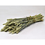 Naturel groene Triticum - Tarwe droogbloemen | Lengte ± 70 centimeter | Gewicht ± 175 gram