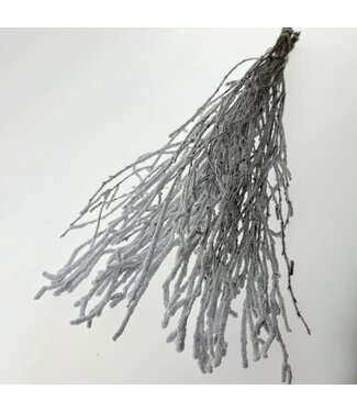 Dutch Dried Branches de bouleau enneigées blanches | Longueur ± 60 centimètres | Par 10 branches