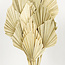 Natural Palm Spear branches | Length ± 50 centimetres | Per 10 branches