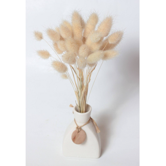 Dutch Dried Naturelle baby Lagurus Ovatus droogbloemen | Lengte ± 30 centimeter | Gewicht ± 55 gram