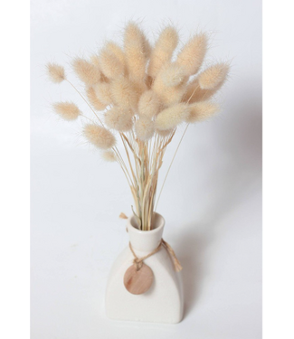 Dutch Dried Naturelle baby Lagurus Ovatus droogbloemen | Lengte ± 30 centimeter | Gewicht ± 55 gram
