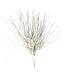 Palmier séché White Misty | Longueur ± 65 centimètres | Par 5 branches