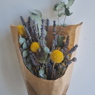 MyFlowers Boeket droogbloemen "Speciaal voor jou" | Lengte ± 35 centimeter | Met gedroogde Eucalyptus, Lavendel en Craspedia's