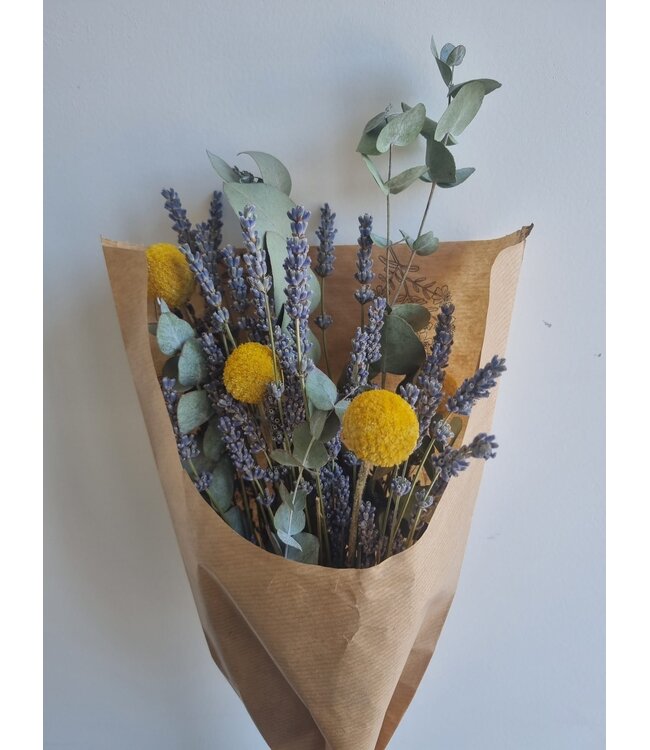 Trockenblumenstrauß "Speziell für dich" | Länge ± 35 Zentimeter | Mit getrocknetem Eukalyptus, Lavendel und Craspedia