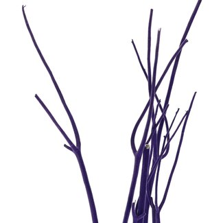 4A Dried Mitsumata Flake Branches | Colour: Lilac | Dried Decoration | Length ± 115 centimetres | 3 branches per bunch | Per bunch